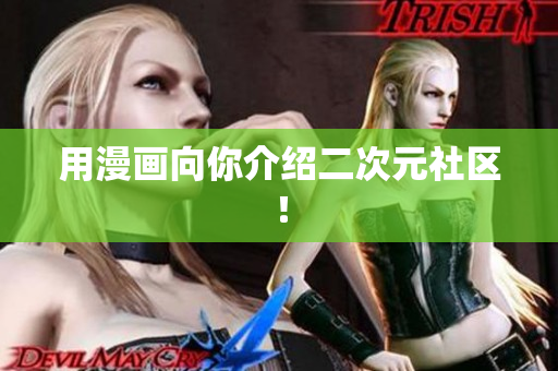 用漫画向你介绍二次元社区！