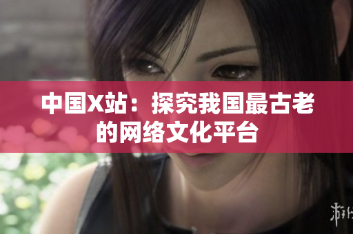 中国X站：探究我国最古老的网络文化平台