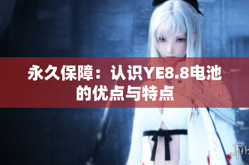 永久保障：认识YE8.8电池的优点与特点