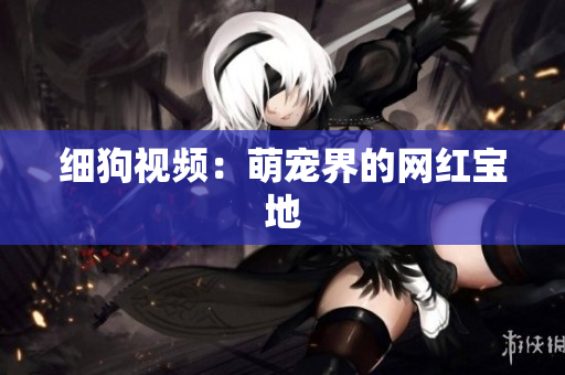 细狗视频：萌宠界的网红宝地