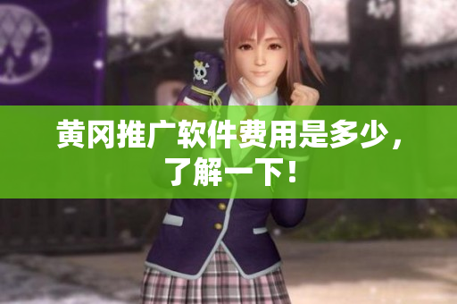 黄冈推广软件费用是多少，了解一下！