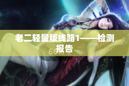 老二轻量版线路1——检测报告