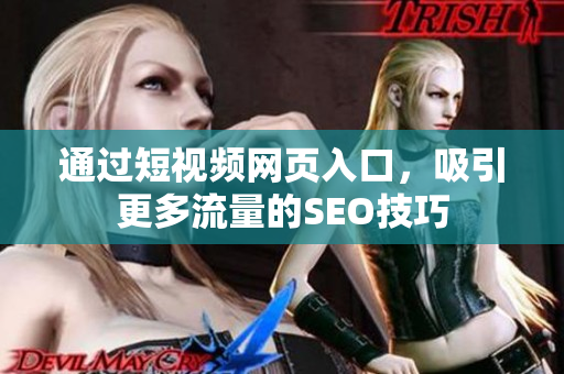 通过短视频网页入口，吸引更多流量的SEO技巧