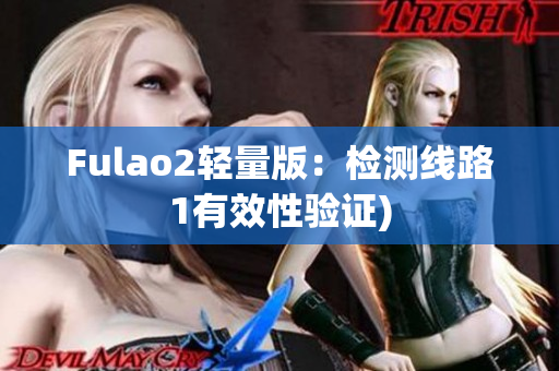 Fulao2轻量版：检测线路1有效性验证)