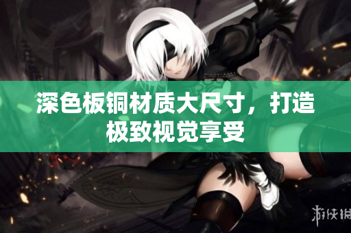 深色板铜材质大尺寸，打造极致视觉享受