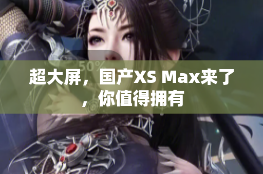 超大屏，国产XS Max来了，你值得拥有