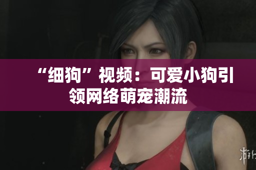 “细狗”视频：可爱小狗引领网络萌宠潮流
