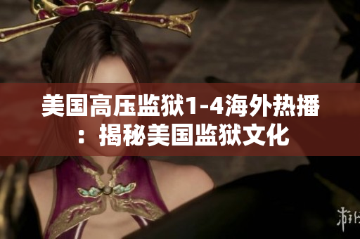 美国高压监狱1-4海外热播：揭秘美国监狱文化