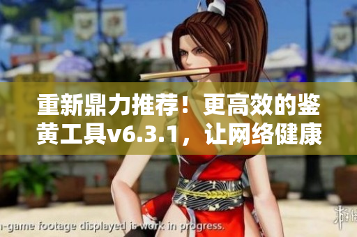 重新鼎力推荐！更高效的鉴黄工具v6.3.1，让网络健康更易维护